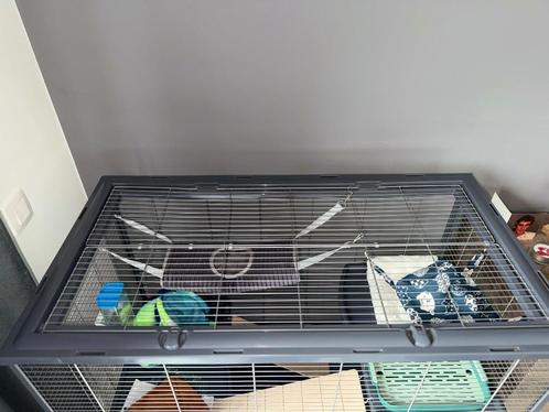 Knaagdier kooi zo goed als nieuw, Dieren en Toebehoren, Knaagdieren en Konijnen | Hokken en Kooien, Zo goed als nieuw, Kooi, 90 cm of meer