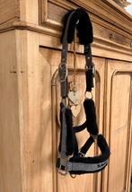 Welltex Back on Track Halter (grijze spijkerbroek), Ophalen, Zo goed als nieuw