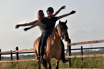 ## FANTASTISCHE & mega brave Fjord x New Forest ruin ## beschikbaar voor biedingen