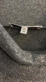 Rolkraagpull zilverkleur Xandres, Ophalen, Maat 46/48 (XL) of groter, Zo goed als nieuw, Grijs