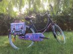 Meisjesfiets cargo Alpina, Fietsen en Brommers, Ophalen of Verzenden, Gebruikt, 24 inch, Alpina