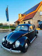 VW coccinelle ovale année 1956 avec contrôle + garantie, Autos, Achat, Entreprise, Garantie prolongée, Boîte manuelle