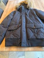 JAS TOMMY HILFIGER, Kleding | Heren, Ophalen, Maat 52/54 (L), Tommy Hilfiger, Nieuw