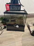 Exo terra 30x30 terrarium, Dieren en Toebehoren, Ophalen