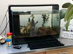 Aquarium, Dieren en Toebehoren, Ophalen, Gebruikt, Sierelement