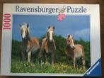 Puzzel Ravensburger 1000 stukjes Wapperende manen, Ophalen of Verzenden, 500 t/m 1500 stukjes, Gebruikt, Legpuzzel