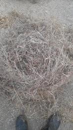 Midibalen Weidehooi, Dieren en Toebehoren, Ophalen