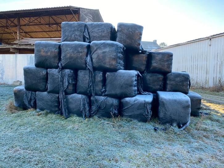 Ballots préfanés, Dieren en Toebehoren, Dierenvoeding, Vee, Ophalen