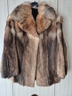 Mooie bontjas, Enlèvement