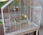 cage/canaris, Animaux & Accessoires, Oiseaux | Cages & Volières, Comme neuf, Enlèvement, Métal, Cage à oiseaux
