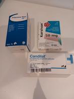 Pour chiens, Animaux & Accessoires