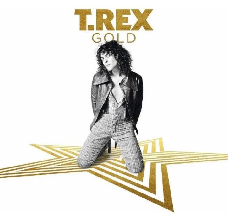 vinyl:  T. REX - GOLD (dubbelLP - als nieuw - TOP-LP), Cd's en Dvd's, Vinyl | Rock, Zo goed als nieuw, Poprock, 12 inch, Ophalen of Verzenden