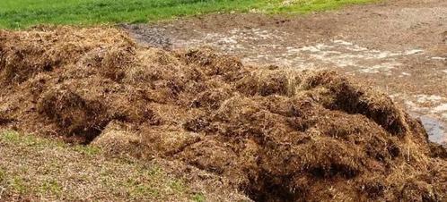 Paardenmest op stro machinaal geladen geleverd/opgehaald, Tuin en Terras, Aarde en Mest, Mest, Ophalen of Verzenden