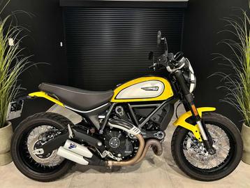 Ducati Scrambler iCON CUSTOM ! 2503KM ! GARANTiE DUCATi 07/2, Motoren, Motoren | Ducati, Bedrijf, Meer dan 35 kW, 803 cc, Naked bike