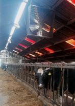 stal plafond  ventilator, Electroménager, Ventilateurs, Enlèvement, Utilisé, Ventilateur de plafond