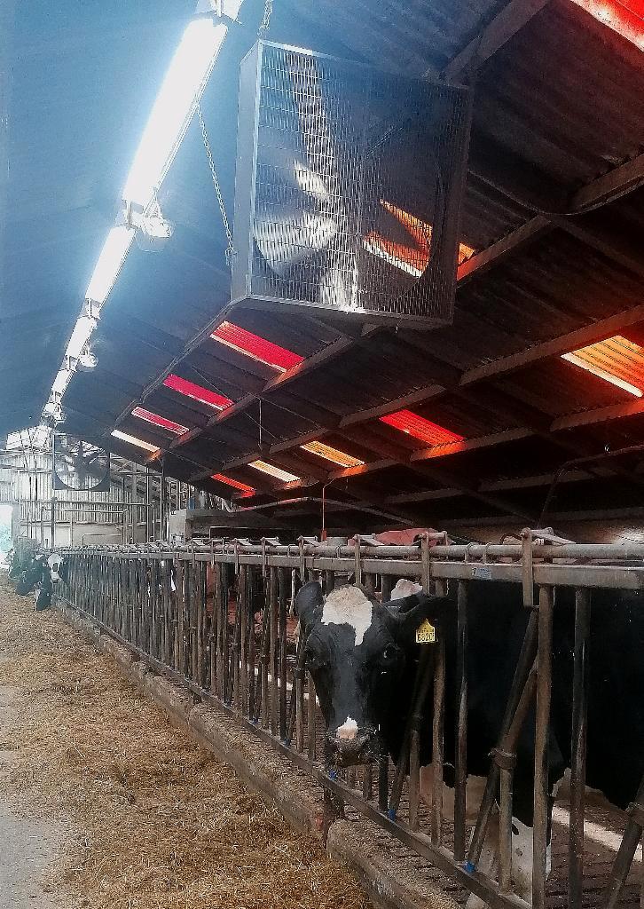 stal plafond  ventilator, Electroménager, Ventilateurs, Utilisé, Ventilateur de plafond, Enlèvement