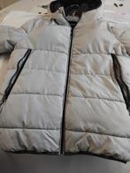 Anorak, Kleding | Heren, Jassen | Winter, Ophalen of Verzenden, Grijs