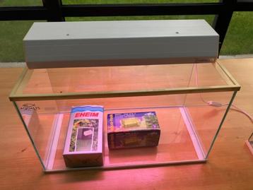 aquarium beschikbaar voor biedingen