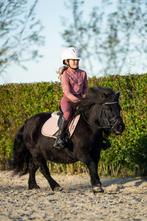 Super lieve shetlander merrie kinderpony, Dieren en Toebehoren, Merrie, Zadelmak, A pony (tot 1.17m), 11 jaar of ouder