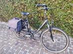 Damesfiets Venturelli Avenue special edition, Fietsen en Brommers, Gebruikt, Versnellingen, 50 tot 53 cm, Ophalen