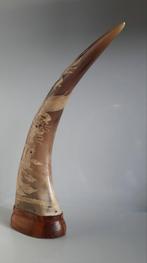 Waterbuffelhoorn, Ophalen of Verzenden