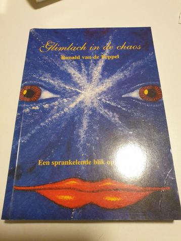 Glimlach in de chaos

Auteur: R. van de Peppel

 beschikbaar voor biedingen