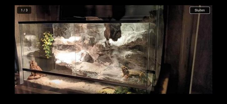 Terrarium, Dieren en Toebehoren, Reptielen en Amfibieën | Toebehoren, Zo goed als nieuw, Ophalen
