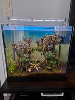 Landschap aquarium, Dieren en Toebehoren, Vissen | Aquaria en Toebehoren, Ophalen, Nieuw, Gevuld zoetwateraquarium