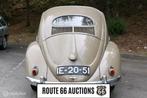 Volkswagen Kever 1954 | Route 66 auctions, Achat, Entreprise, 2 portes, Brun