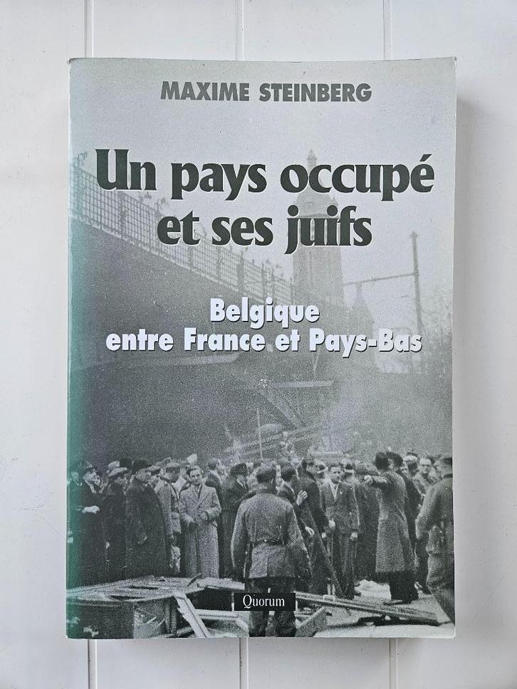 Een bezet land en zijn Joden: België tussen Frankrijk en, Boeken, Oorlog en Militair, Gelezen, Algemeen, Tweede Wereldoorlog, Ophalen of Verzenden