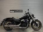 Honda VT750C Black Shadow Spirit 35KW + 1 jaar garantie!, Motoren, 750 cc, 2 cilinders, Chopper, Bedrijf