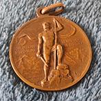 Bronzen medaille 6e DIVISIE 1915-1918 GIUDICARIE VAL D'ASSA, Verzamelen, Ophalen of Verzenden, Landmacht, Embleem of Badge