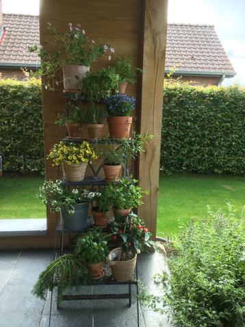 Decoratief etalage-  of bloemenrek beschikbaar voor biedingen