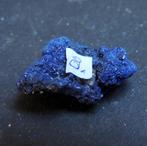 Azuriet ruw - 7, 12, 44 gram (item4,8,9), Ophalen, Mineraal
