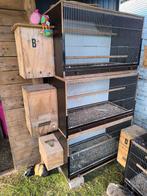 Kweekkooi kweekkooien kweekbak vogelkooi broedblok, Dieren en Toebehoren, Ophalen, Zo goed als nieuw, Vogelkooi