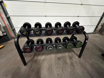 Vaste Rubberen Dumbells 12 t/m 22kg + Opbergrek Technogym beschikbaar voor biedingen