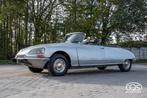 DS CABRIO HENRI CHAPRON, Auto's, Citroën, 4 zetels, Zwart, 4 cilinders, Cabriolet