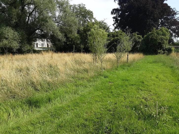 Bouwgrond (Surice - Philippeville), Immo, Gronden en Bouwgronden, 1500 m² of meer