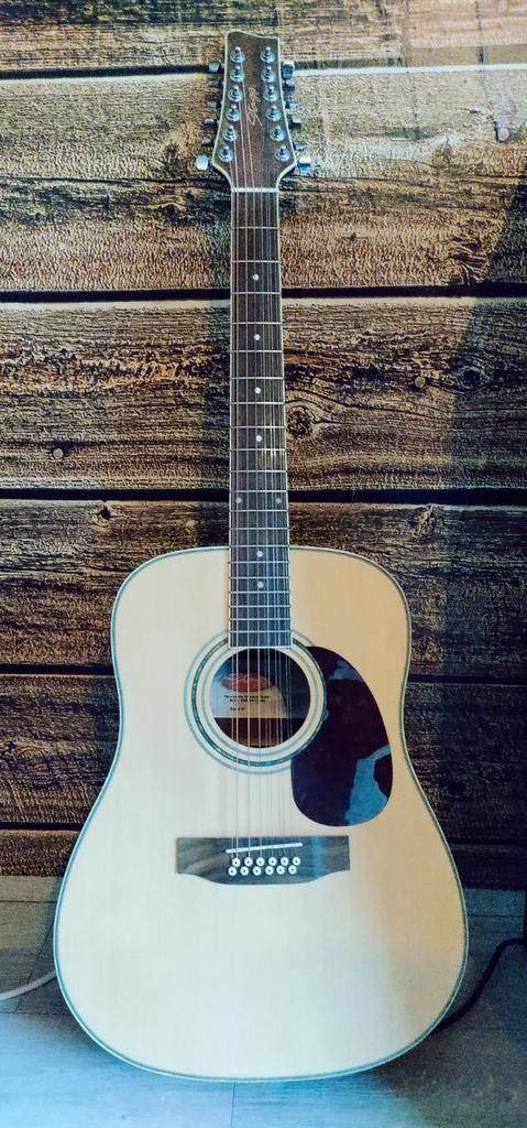 12-snarige acoustische gitaar, Muziek en Instrumenten, Snaarinstrumenten | Gitaren | Akoestisch, Ophalen
