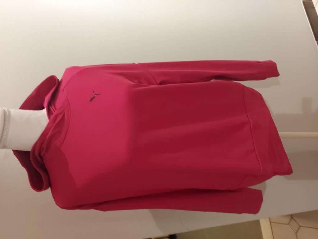 Nieuwe roze hoodie van Puma maat s, Ophalen of Verzenden, Nieuw, Maat 36 (S), Roze