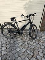 Gazelle Cityzen Speed Pedelec, Fietsen en Brommers, Elektrische fietsen, Ophalen, Gebruikt, Gazelle