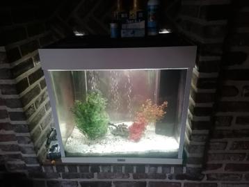 Juwel aquarium met toebehoren