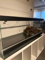 Terarium 1205050, Enlèvement