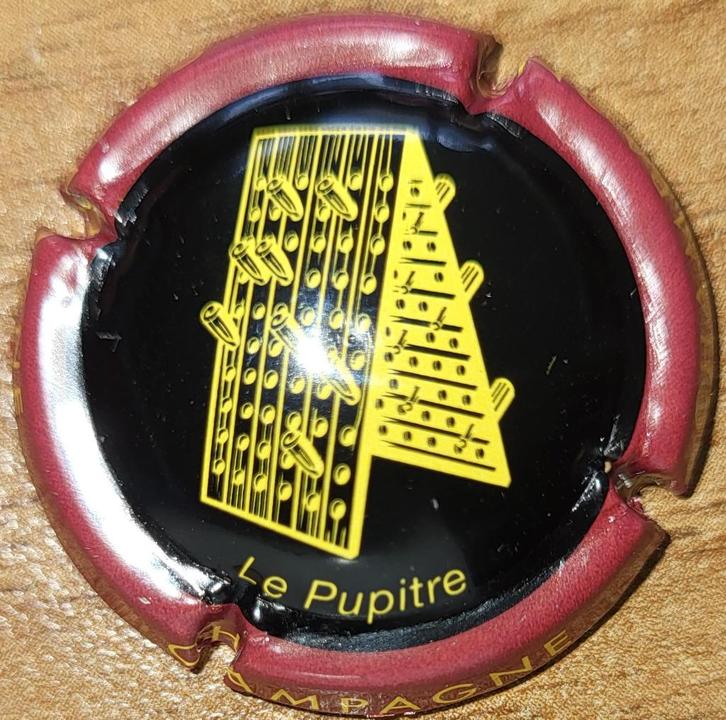 Champagnecapsule van VIGNERONS zwart & bordeaux nr 727g+, Verzamelen, Wijnen, Nieuw, Champagne, Frankrijk, Ophalen of Verzenden