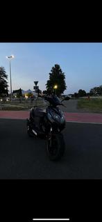 A klasse scooter, Ophalen