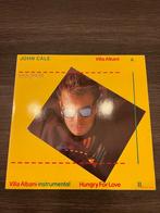John Cale – Villa Albani, Cd's en Dvd's, Vinyl | Rock, Ophalen of Verzenden