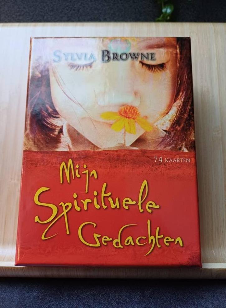 Mijn spirituele gedachten, Boeken, Esoterie en Spiritualiteit, Zo goed als nieuw, Tarot of Kaarten leggen, Ophalen of Verzenden