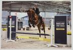 Knappe 5jarige ruin