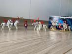Playmobil circus paarden nummer 3742, Kinderen en Baby's, Speelgoed | Playmobil, Ophalen, Zo goed als nieuw, Complete set