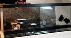 Praktisch nieuwe 1 maand oude terrarium 120x50x50 met lamp!, Dieren en Toebehoren, Ophalen, Terrarium of Paludarium